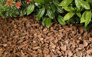 Decorative bark