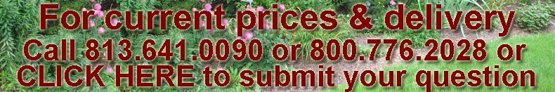 Prices & Delivery Banner Prices & Delivery Banner