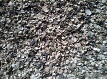Washed Shell Sample — Ruskin FL — Tampa Crosstie and Landscape Supply, Inc
