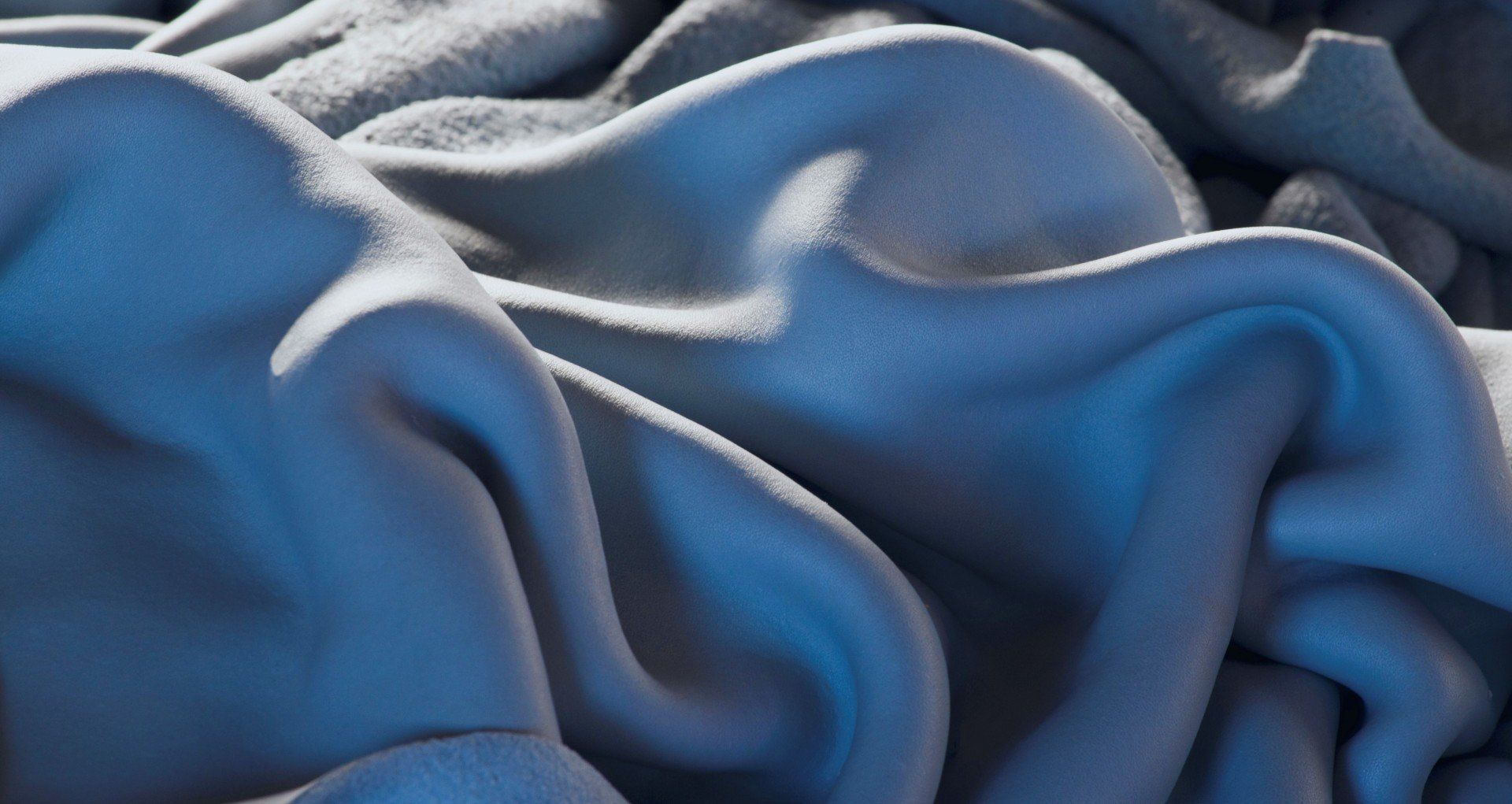 wet blue pelle