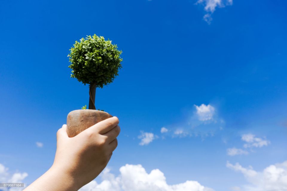 ecosostenibilità