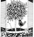 drawing of the potted cumquat