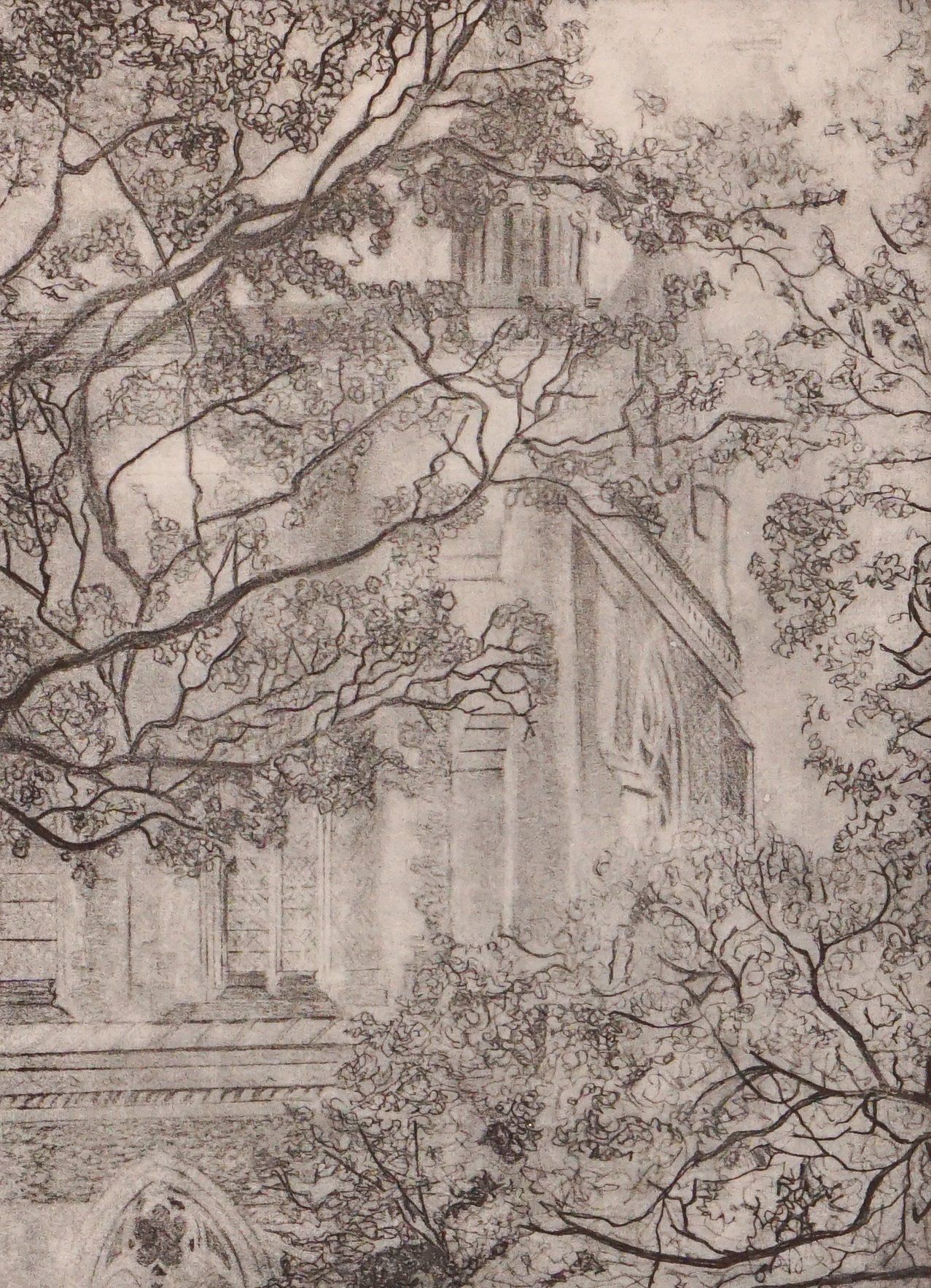 Gothic building seen through tree branches. Black and white drawing.