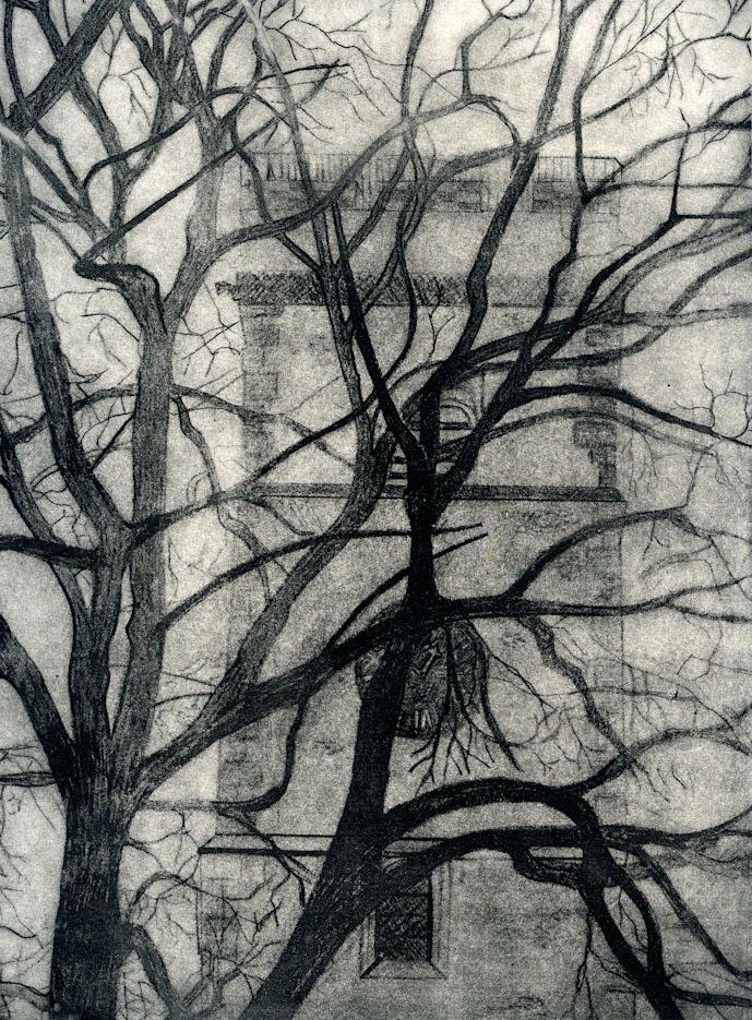 Bare tree branches frame a building with windows; grayscale drawing.