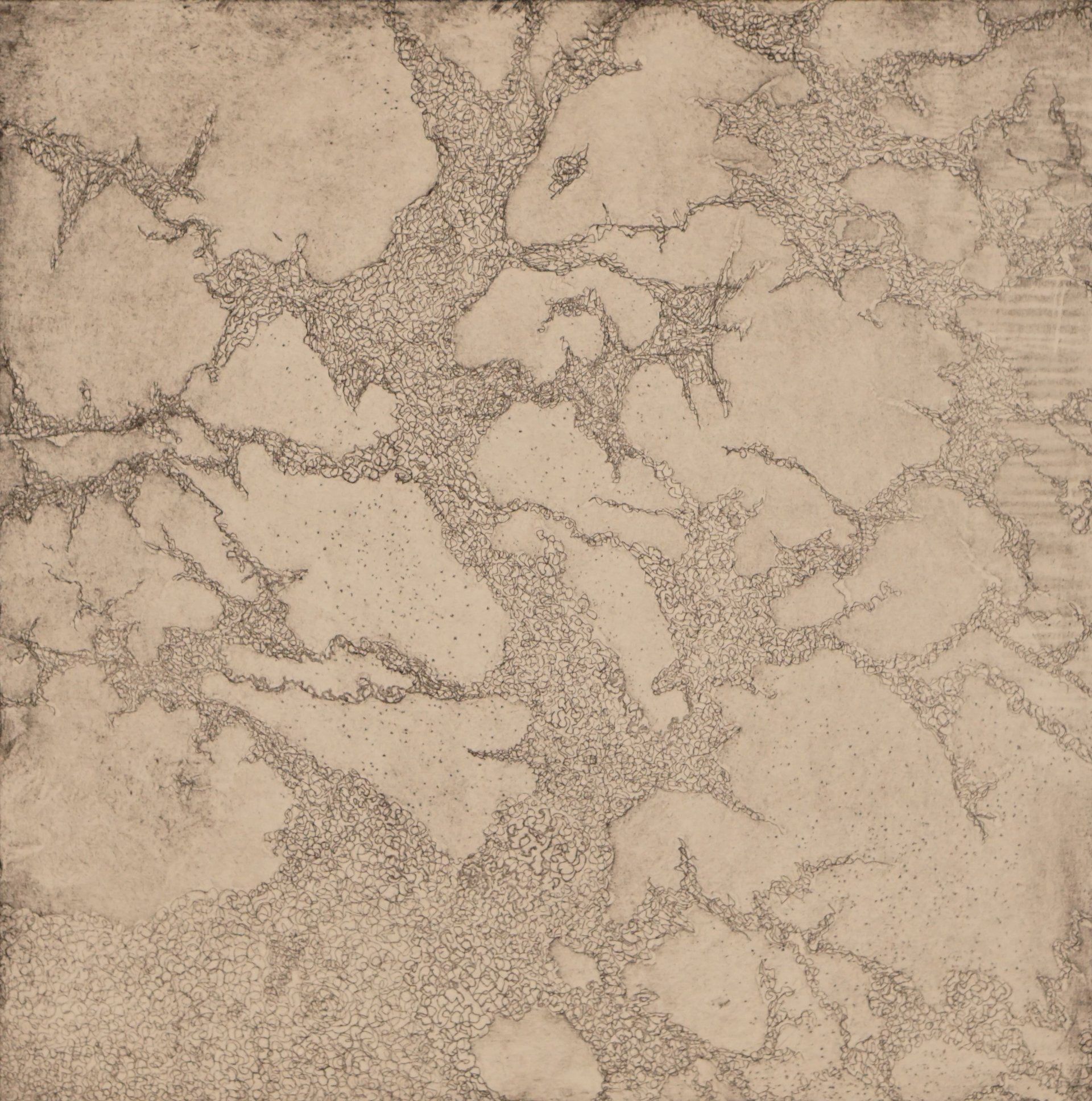 Abstract pattern of light beige with dark, web-like lines and dotted textures.