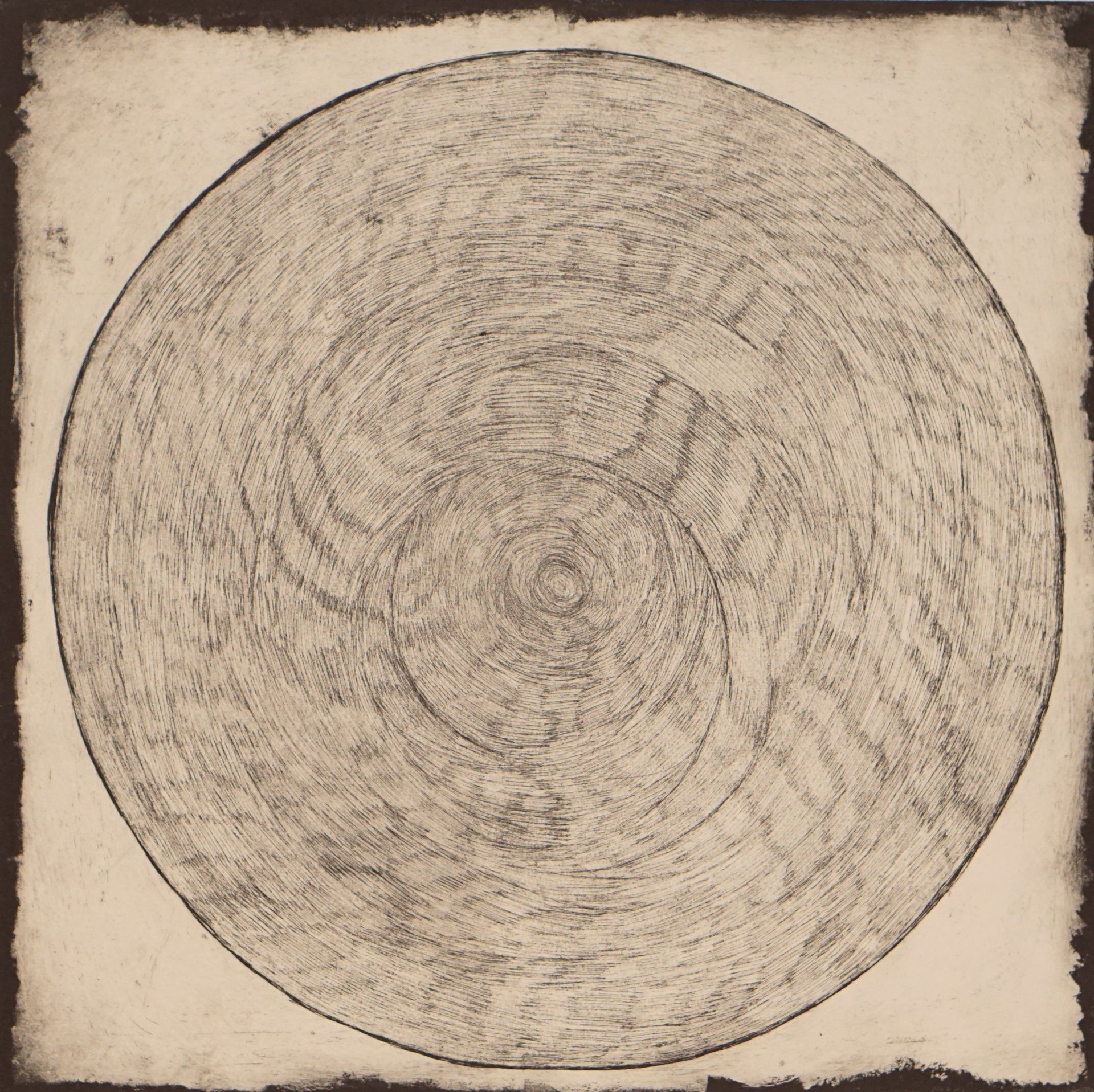 Circular wood grain pattern with concentric rings, within a square border.