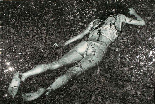Art of a person laying face down in leaves.
