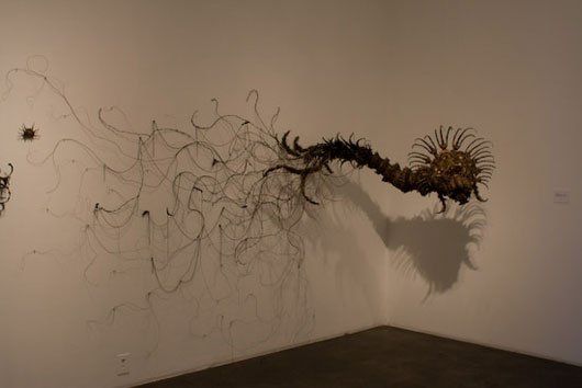 A shadow of a plant is cast on a white wall.
