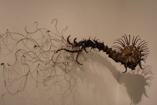 A close up of a spider 's tail on a wall.