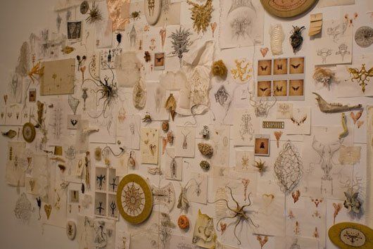 A wall with a lot of different types of objects on it.
