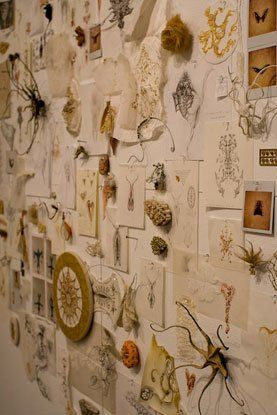 A wall with a lot of pictures and drawings on it
