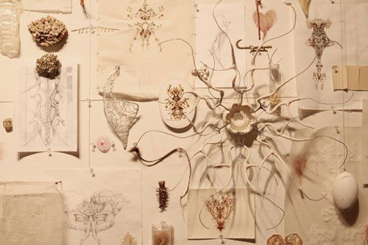 There are many different types of drawings on the wall.