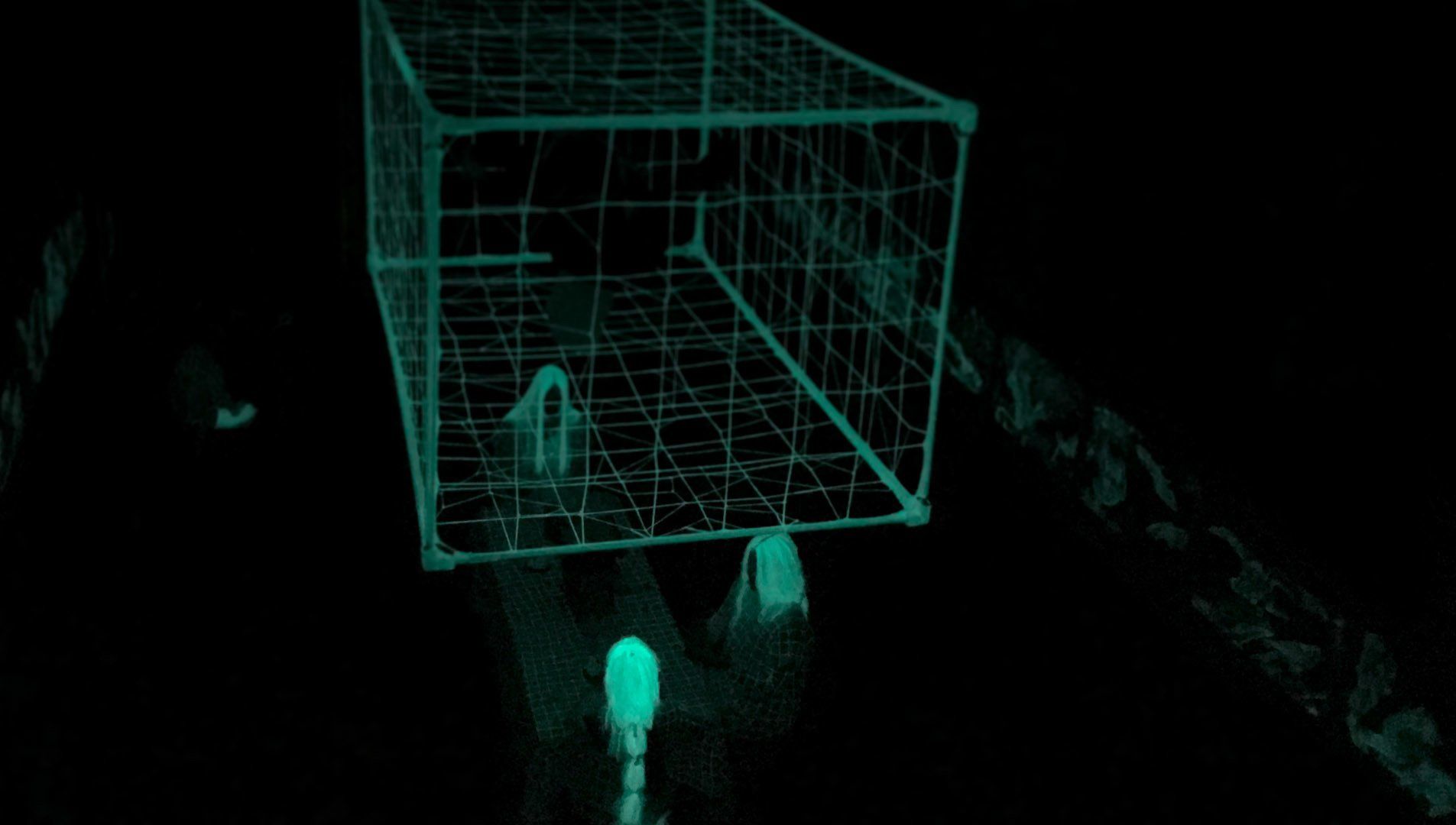 A person is standing in a cage in the dark.