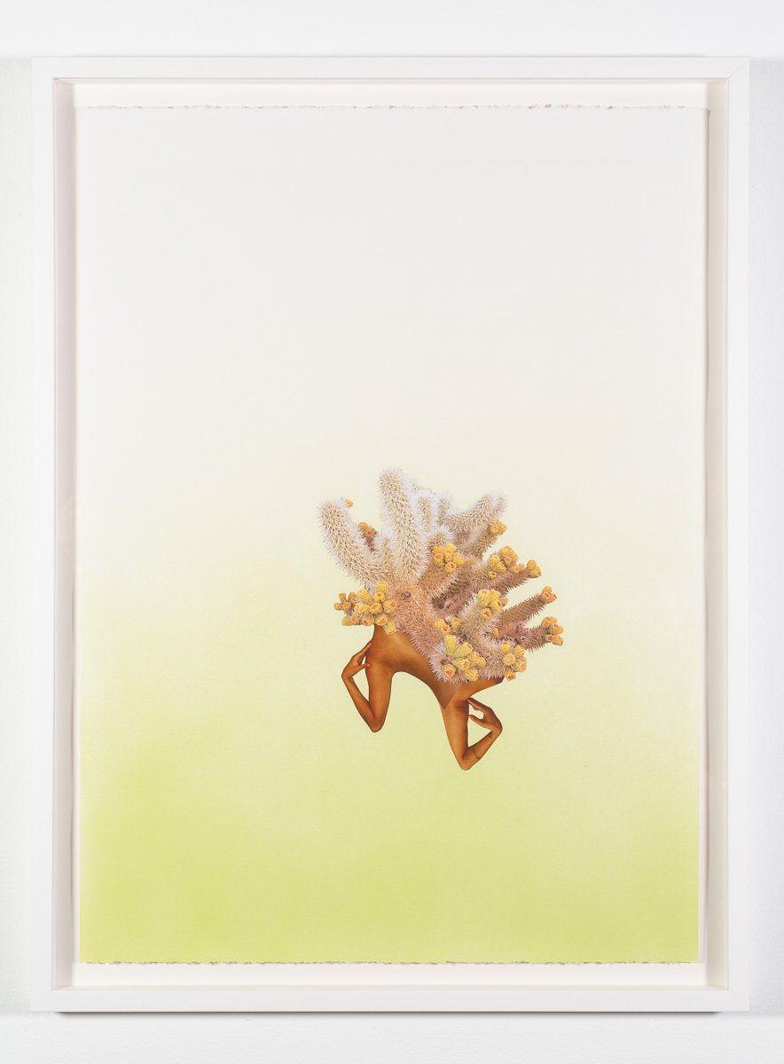 A painting of a hedgehog on a green background in a white frame.