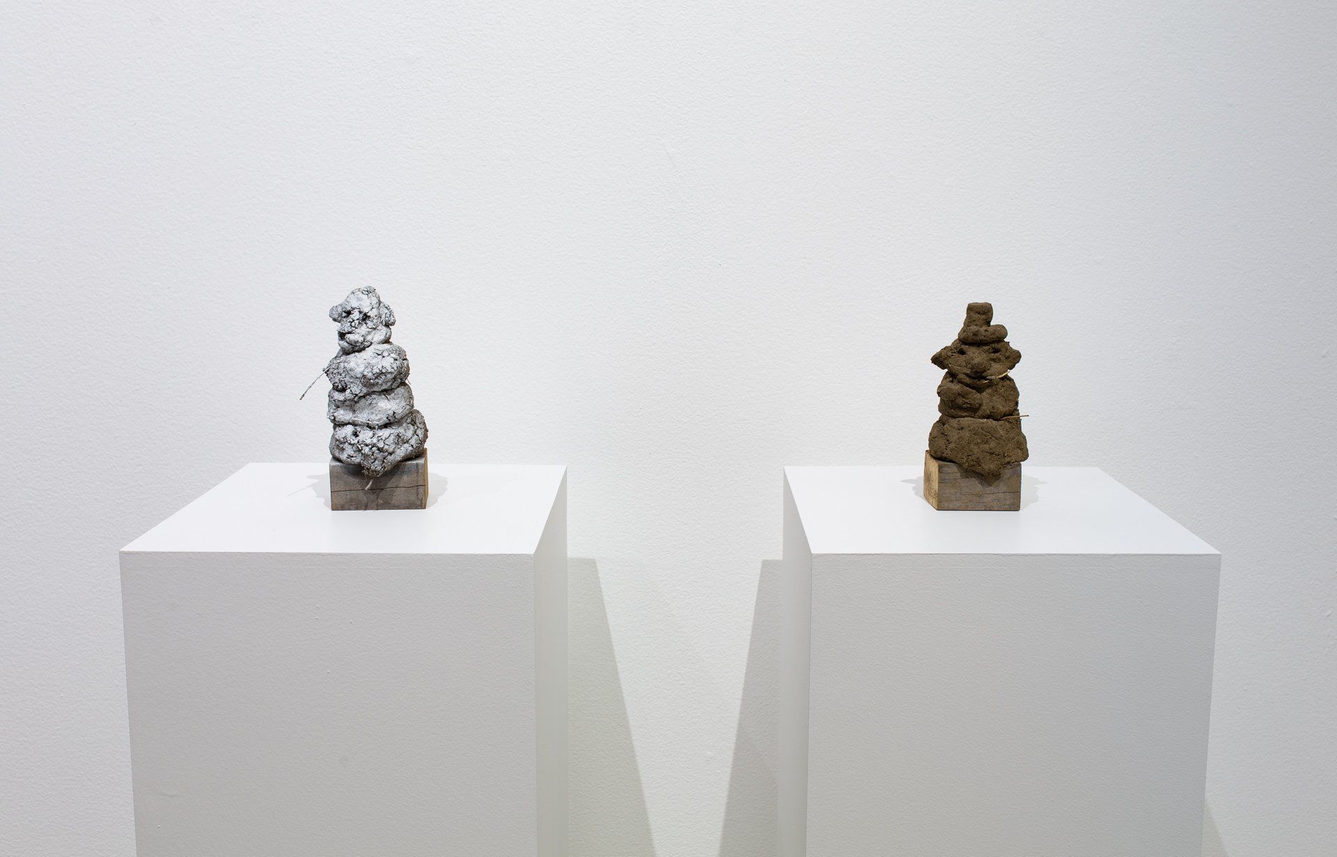 Two sculptures are sitting on white boxes in a room.