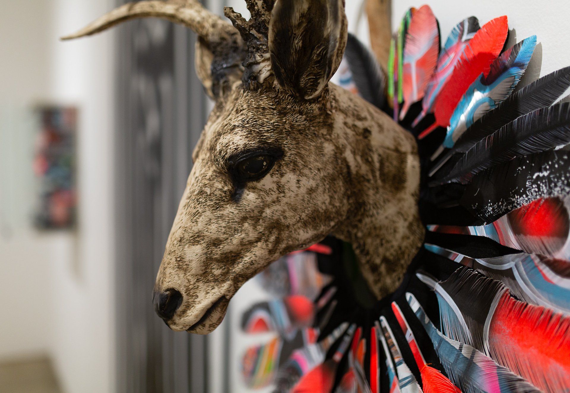 A close up of a deer head with feathers on it