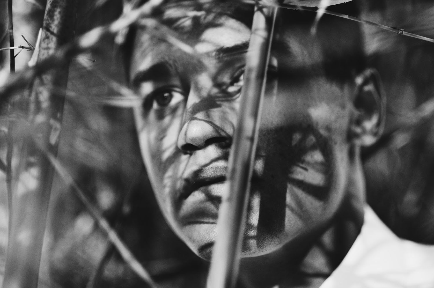 A black and white photo of a man 's face behind a tree branch.