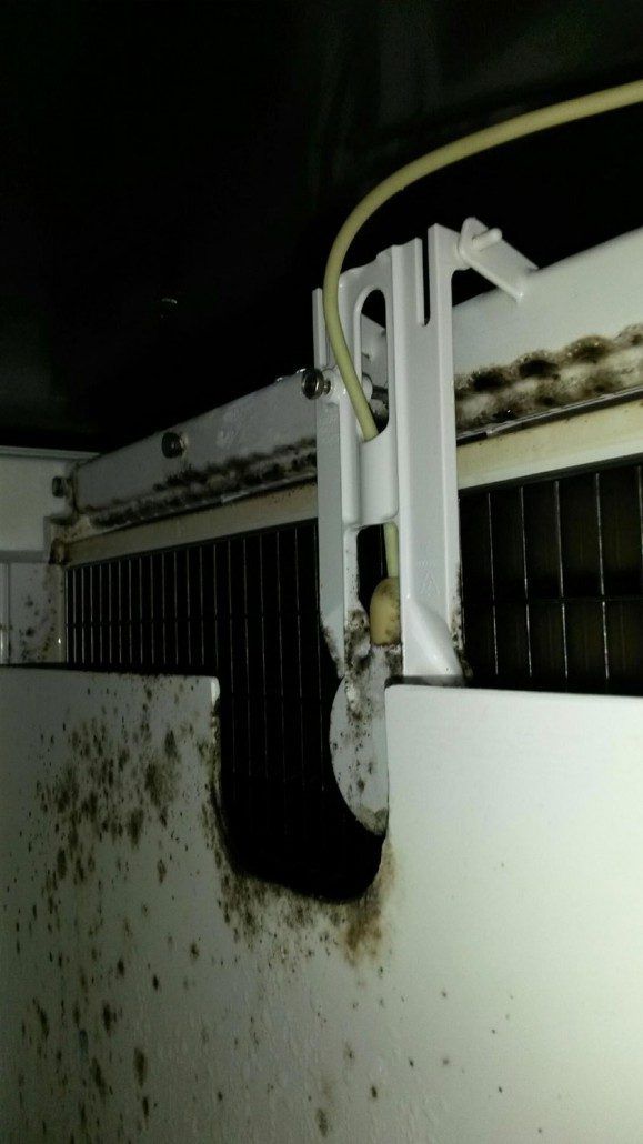Before Cleaning the Refrigerator — Asheville, NC — Blue Ridge Refrigeration