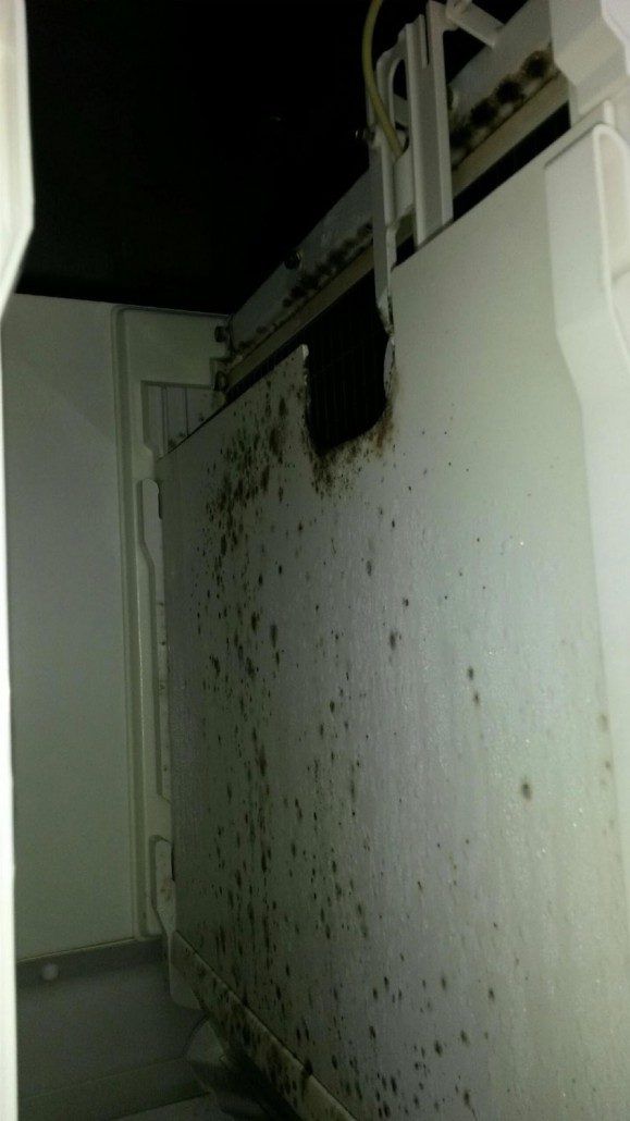 Before Cleaning Inside the Refrigerator — Asheville, NC — Blue Ridge Refrigeration