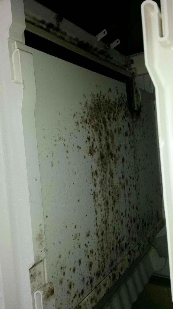 Before Refrigerator Cleaning — Asheville, NC — Blue Ridge Refrigeration