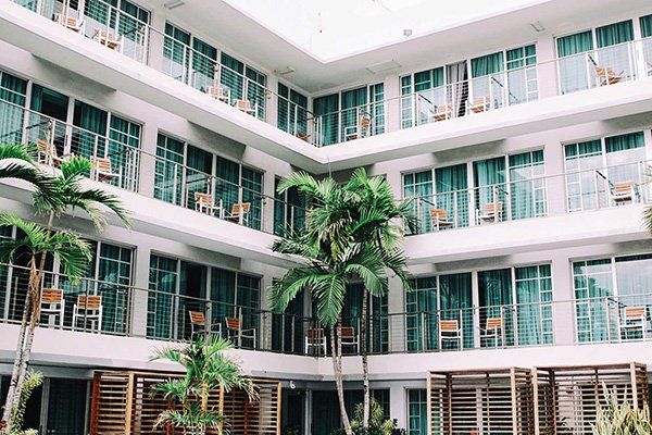 a large building with a lot of windows and a palm tree in the middle of it .