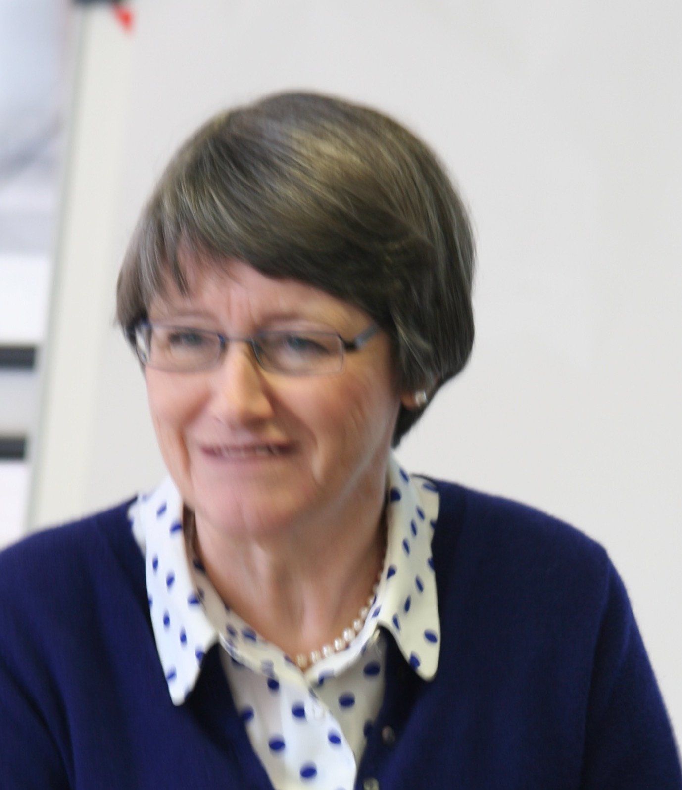 Doctors' Support Network 2016 Dr Janet Ballard mental health