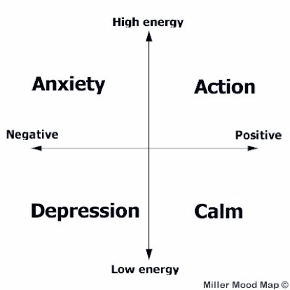Doctors' Support Network 2016 Dr Liz Miller Figure 1 mood mapping mental health