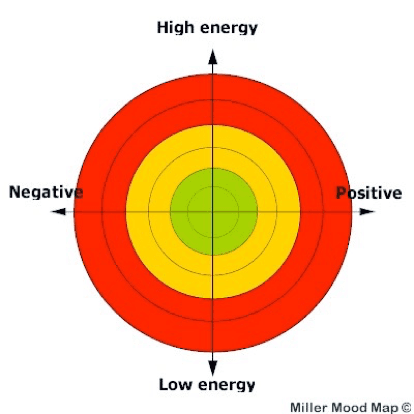 Doctors' Support Network 2016 Dr Liz Miller Figure 3 mood mapping mental health