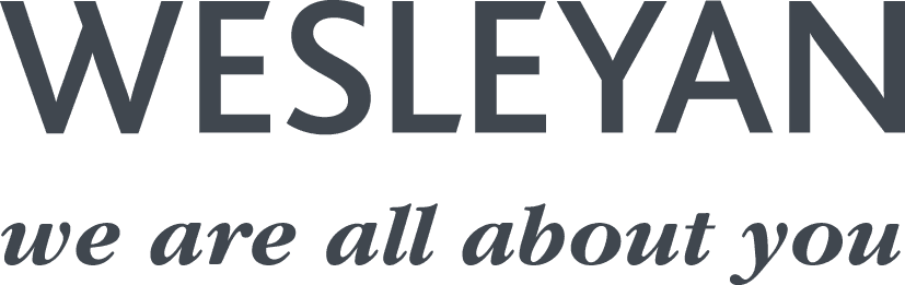 Doctors' Support Network 2016 Wesleyan logo mental health