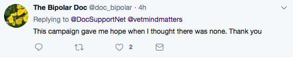 Doctors' Support Network 2018 Bipolar doc 2 mental health