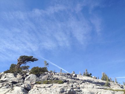 ...somewhere in USA (along the PCT)