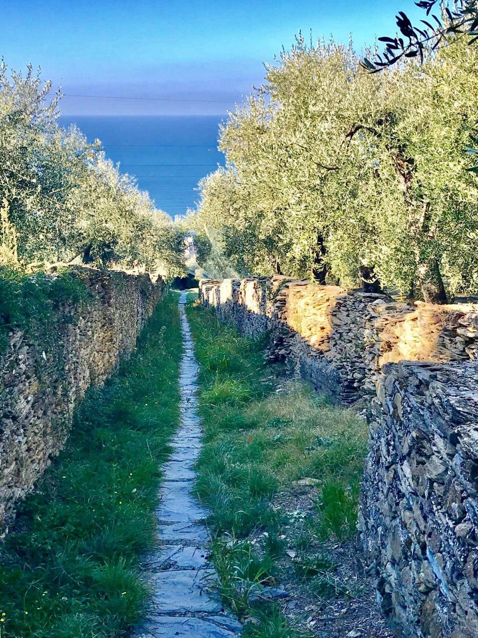 Un sentiero che simboleggia il cammino della vita