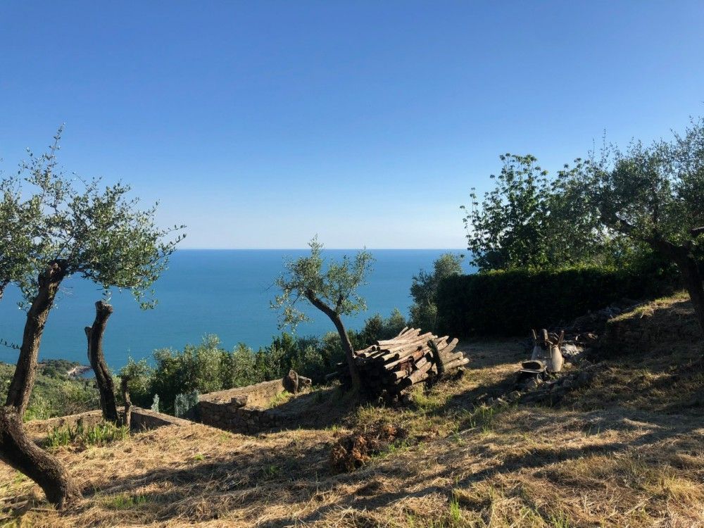 paesaggio