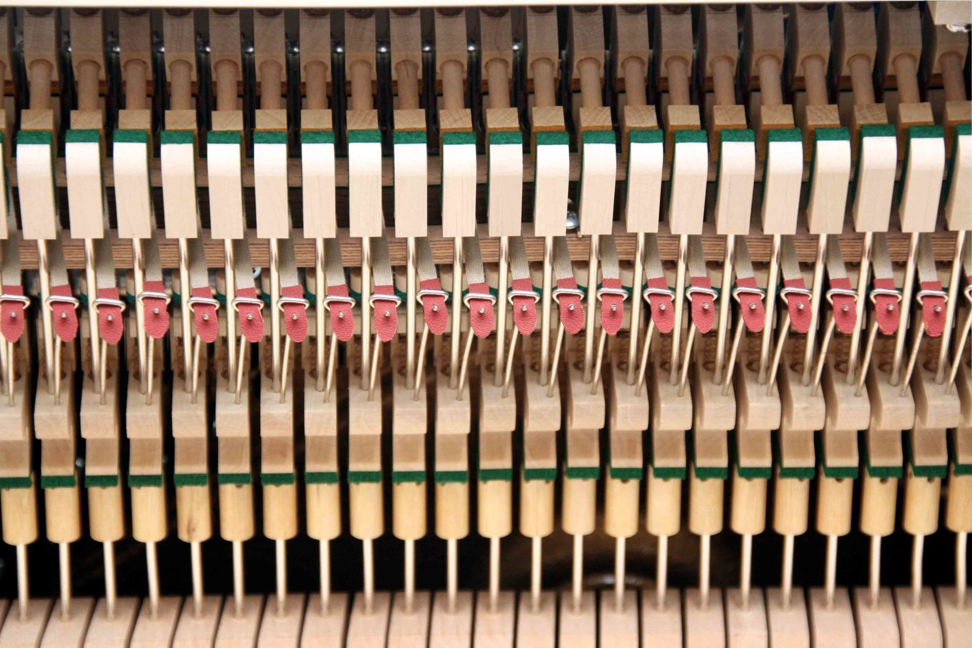 Close-up van rijen beige mechanische onderdelen met roze en groene accenten, die lijken op pianohamers of mechanische onderdelen.