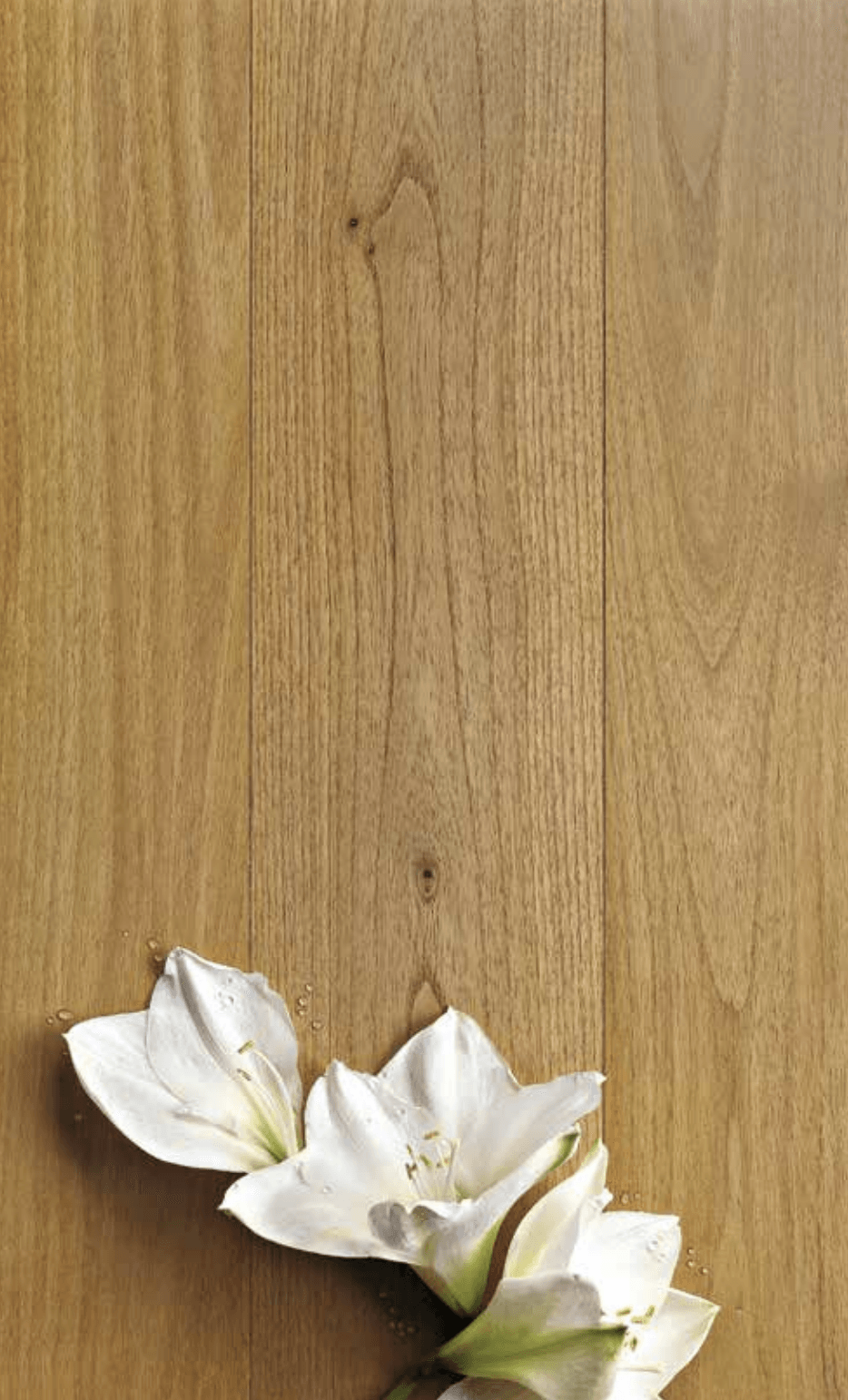 STEAMED ACACIA Smoothed or brushed, unfInished or oiled or varnished transparent.