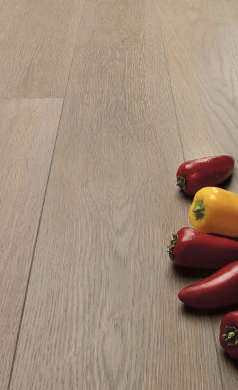 ROVERE GINESTRA