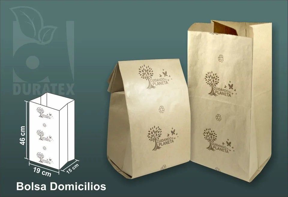 Bolsa kraft domicilios