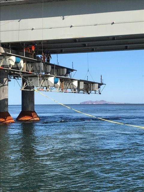 Un pont est en construction sur un plan d'eau