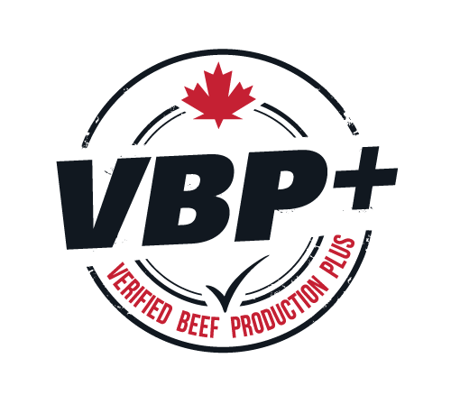 Verified Beef Production Plus Logo