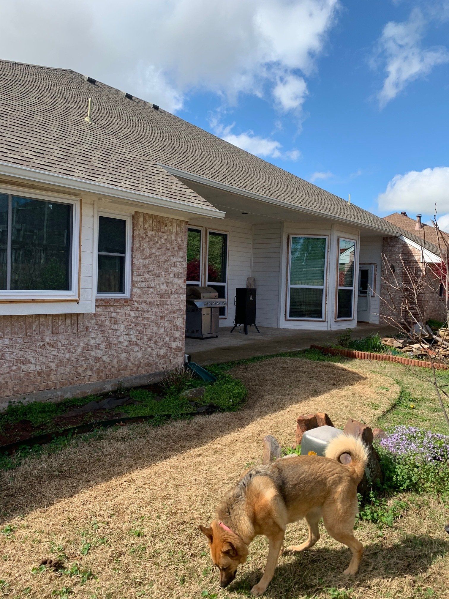backside of house