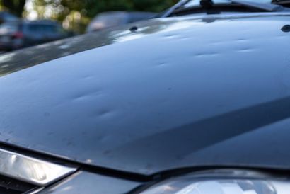 car hood