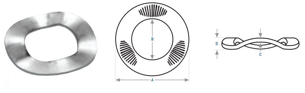 A Belleville spring washer, shown in 3D and diagram views, features a curved, disc-like shape.