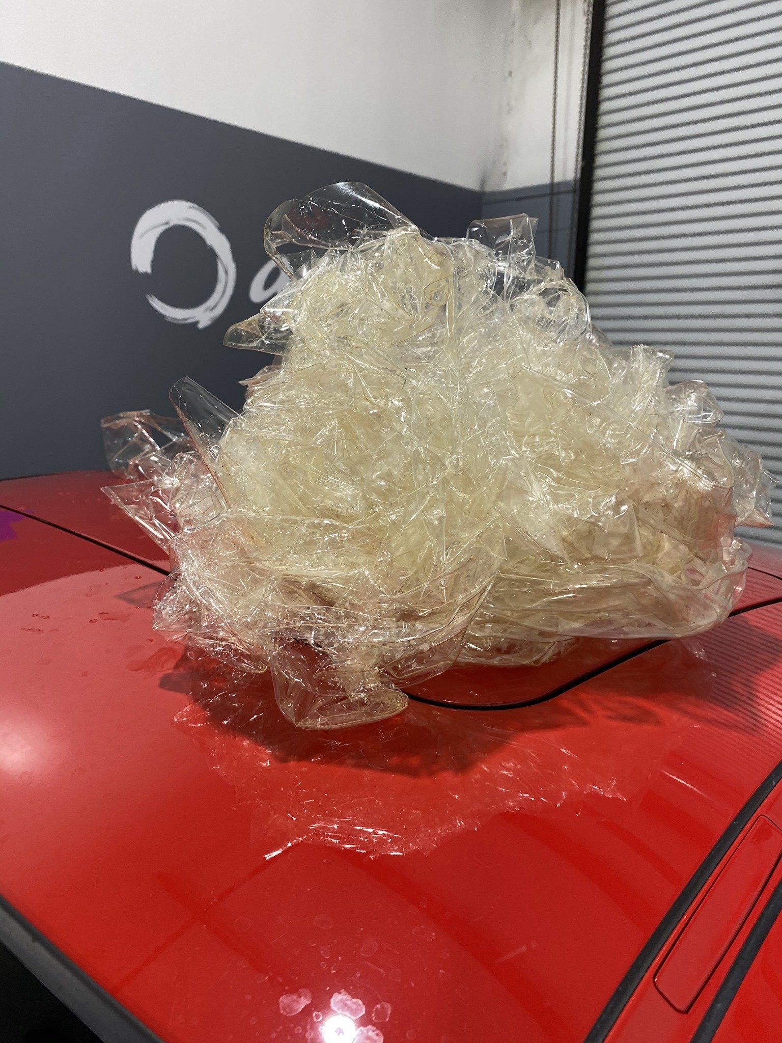 paint protection film yellowed in orlando