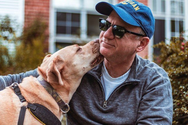 dog and pet owner man