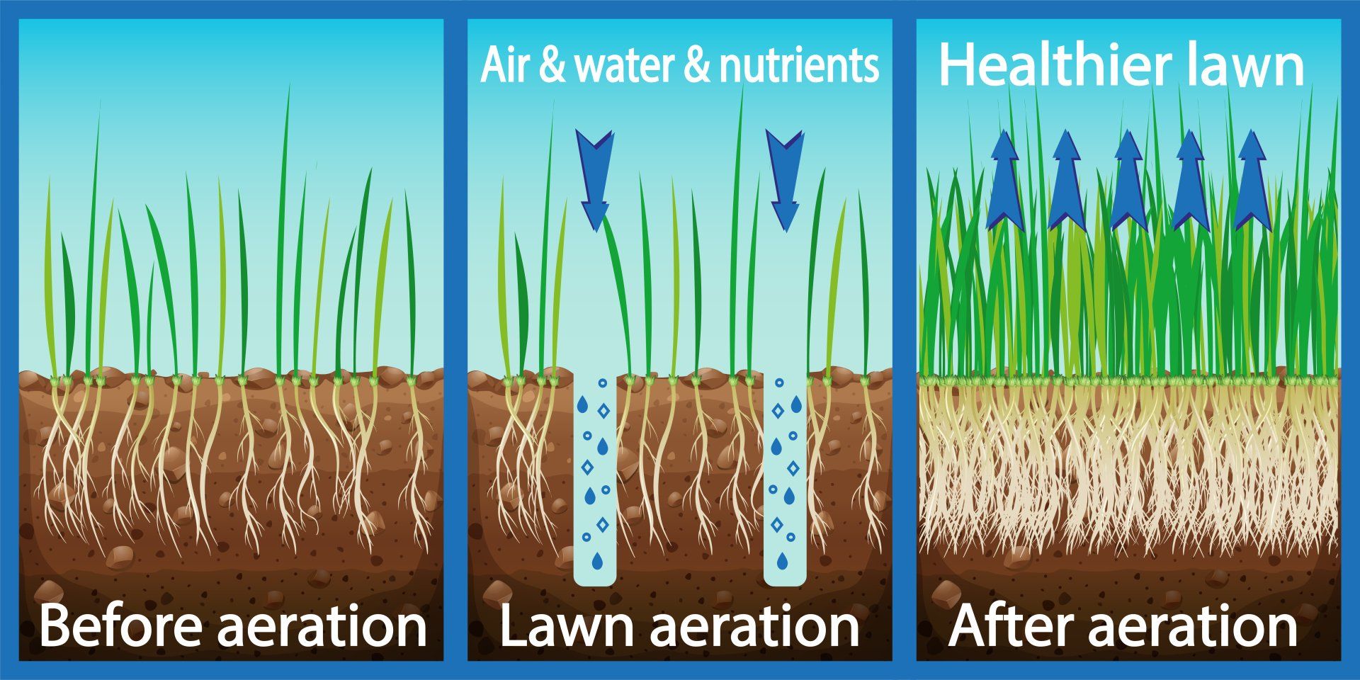 Lawn Maintenance in Bogart, Georgia