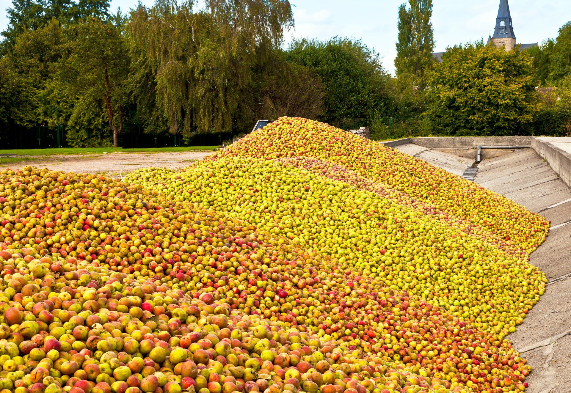 Food & Drinks Tours
