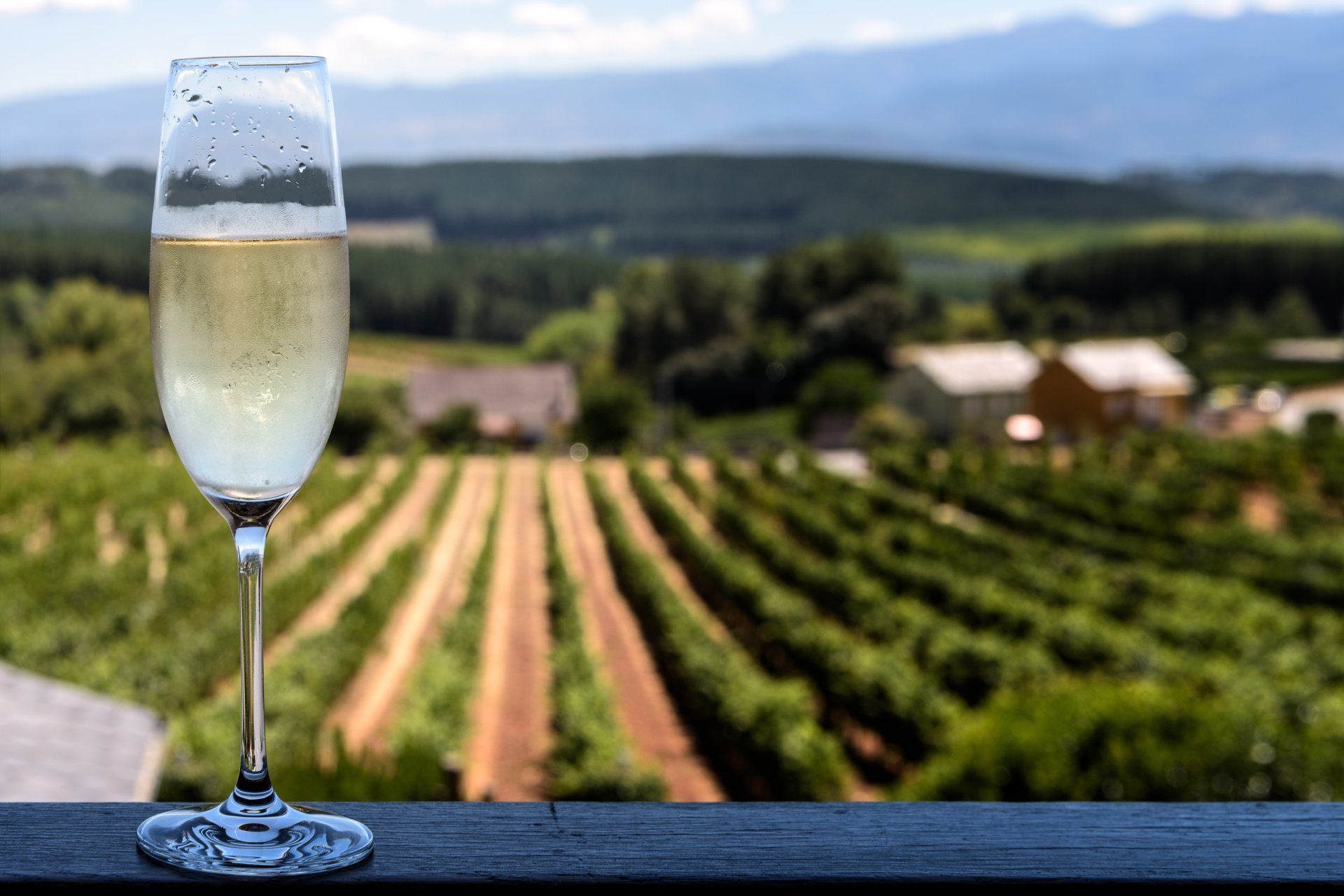 Food & Drink Tour - Wine tasting