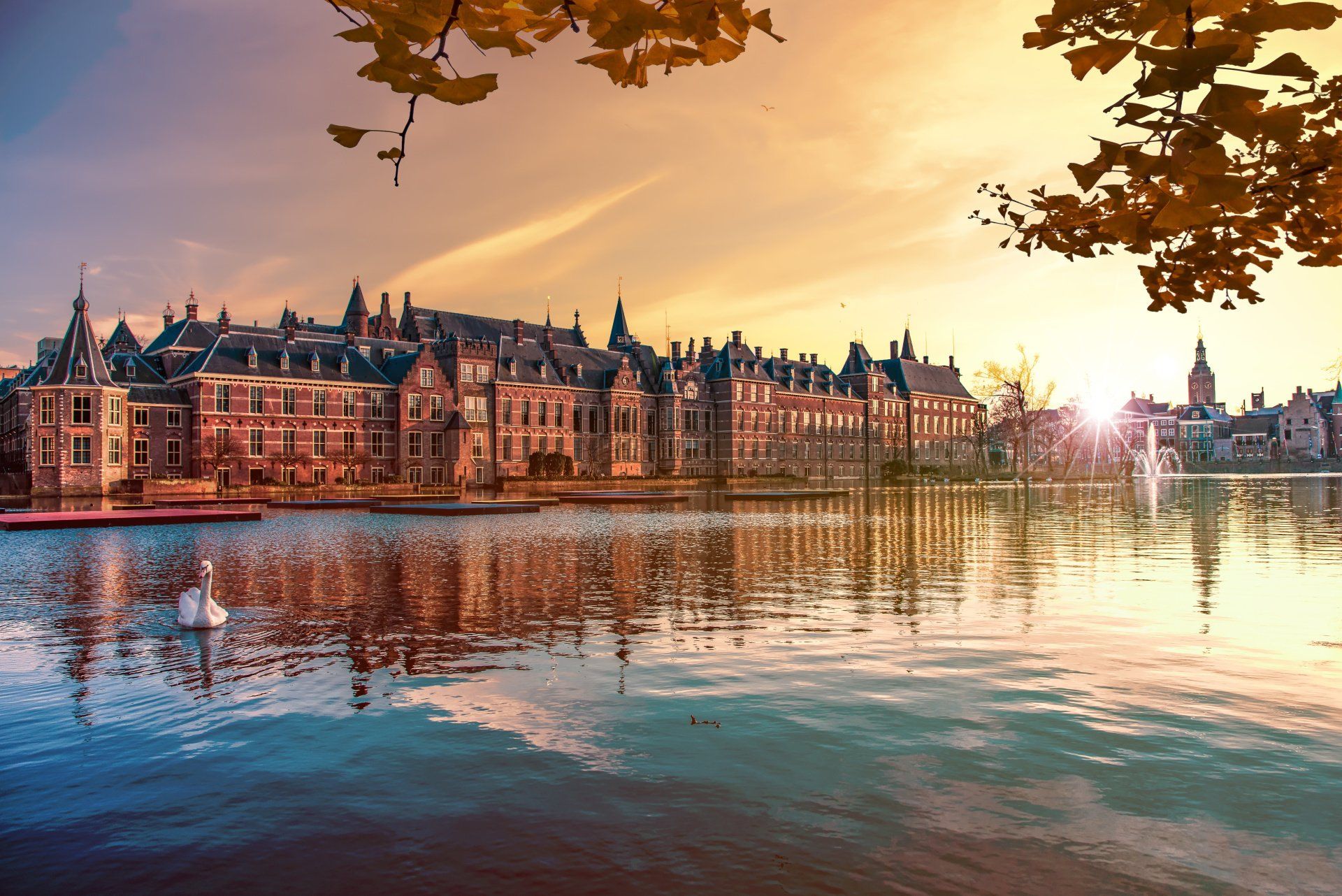 European Tours