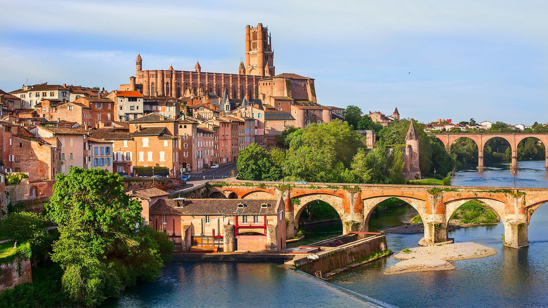 Food & Wine Tours