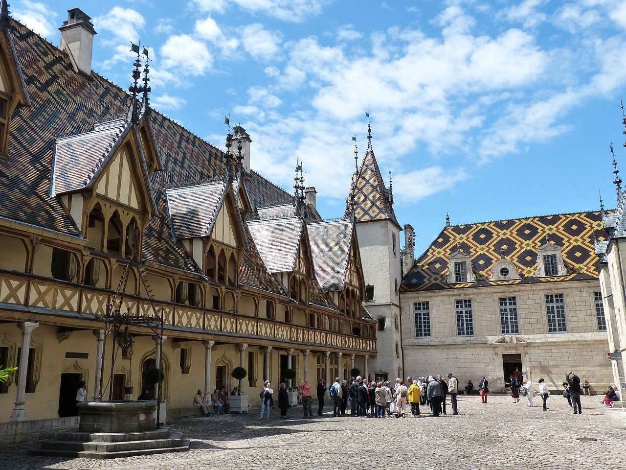 Wine tours